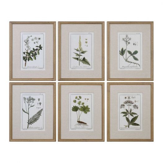 GREEN FLORAL BOTANICAL STUDY FRAMED PRINTS, S/6