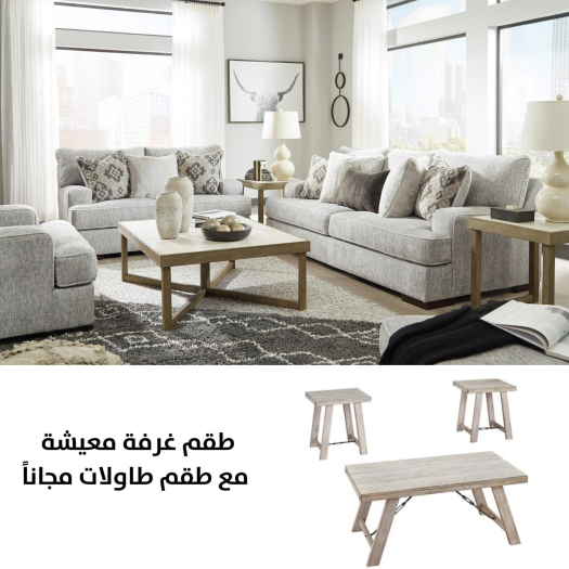 Mercado Sofa Set with FREE Table Set T356-13