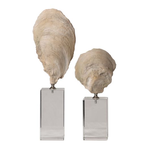 Oyster Shell Sculptures, S/2