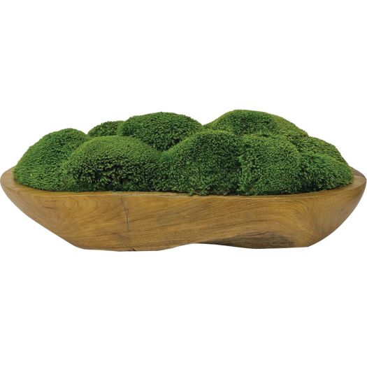 KINSALE MOSS CENTERPIECE