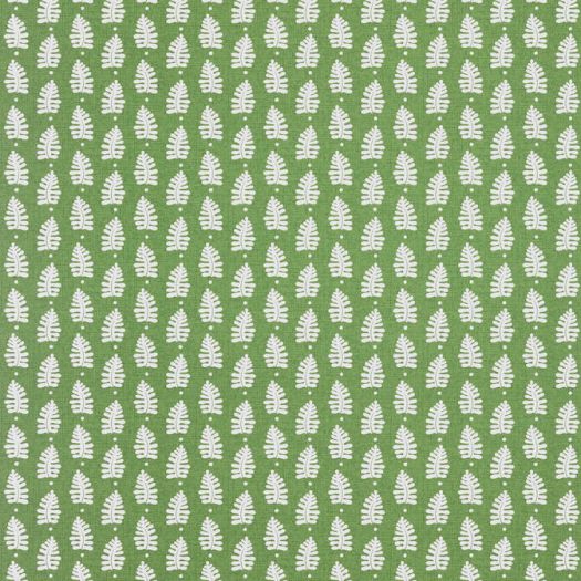 FERNDALE,Wallpaper