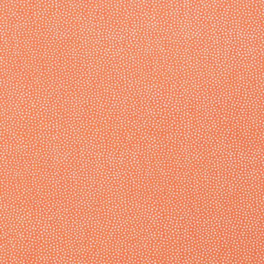 TURINI DOTS,Non Woven Wallpaper
