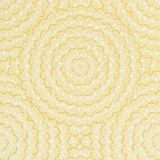 ASTER,String Wallpaper