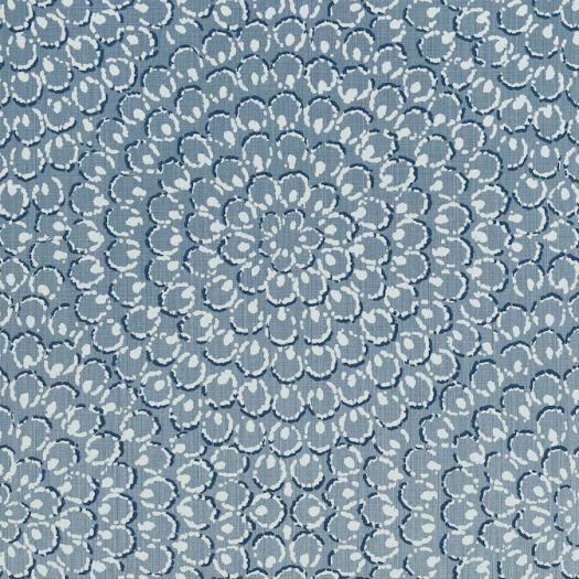 ASTER,String Wallpaper